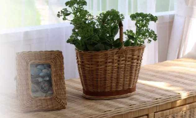 Мастер-класс, как создать стильный предмет интерьера из бумажной лозы и реализовать себя в хобби Мастер-класс, как создать стильный предмет интерьера из бумажной лозы и реализовать себя в хобби